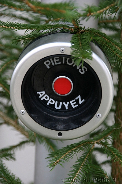 appel pieton.jpg